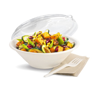 disposable containers